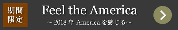 期間限定 Feel the America