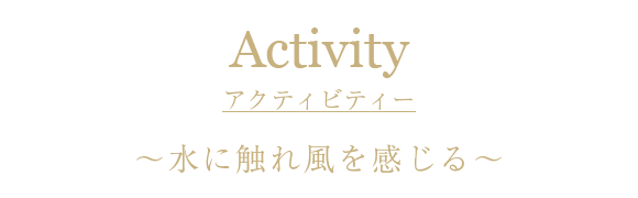 アクティビティー