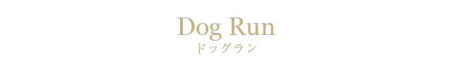ドッグラン
