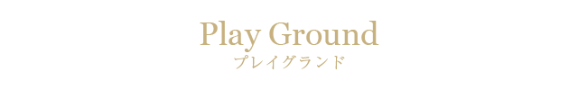 プレイグランド