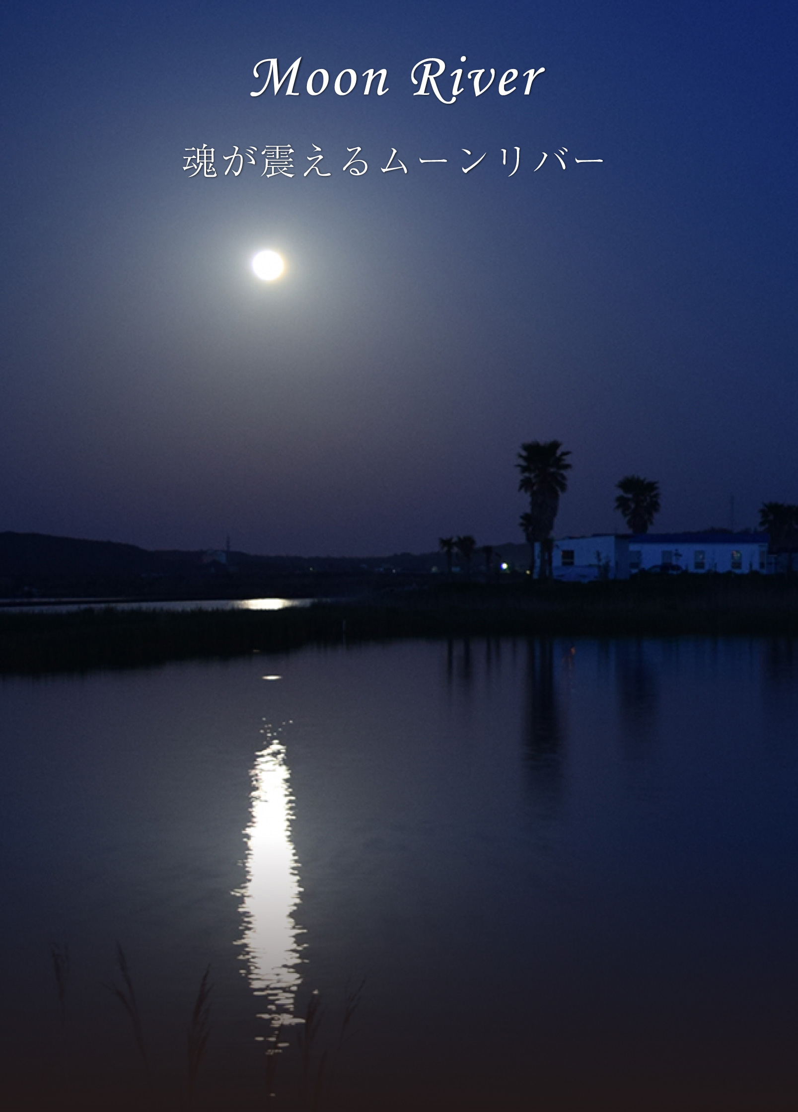ムーンリバー