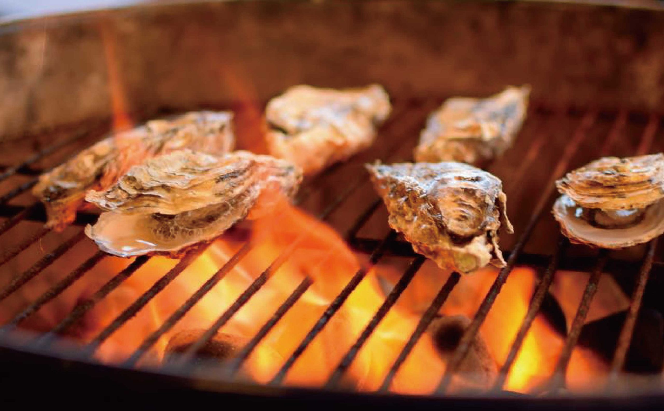 プラン オイスター 牡蠣