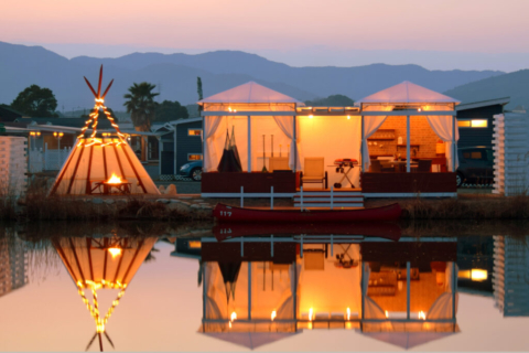 ジェリーフィッシュ