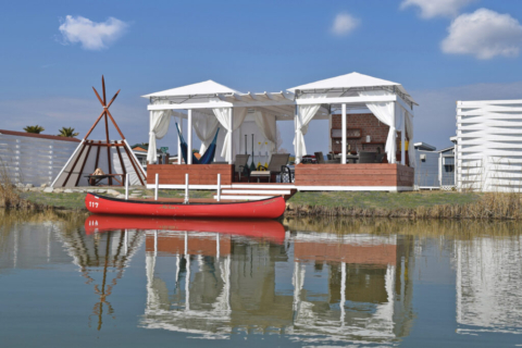 ジェリーフィッシュ