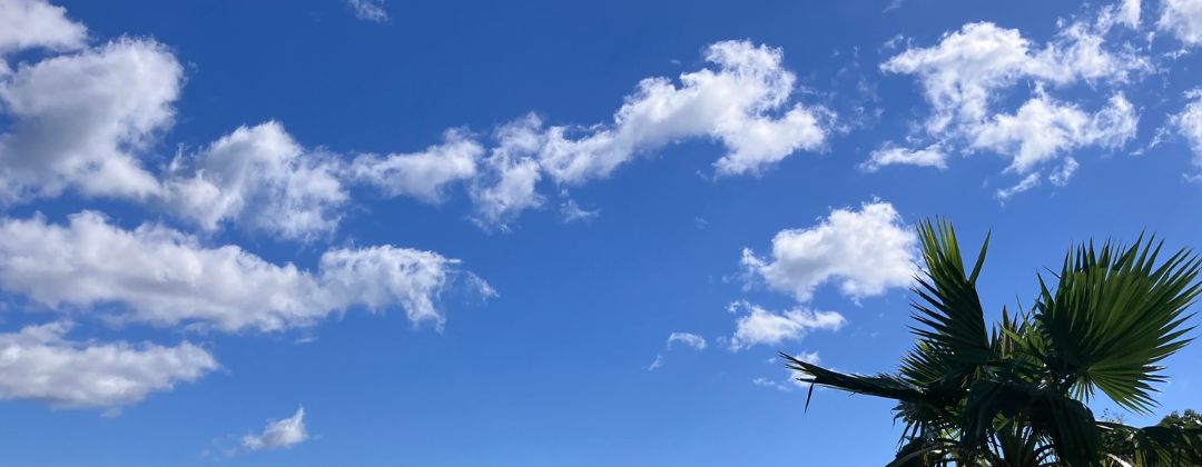 ハッピーウィークデイ