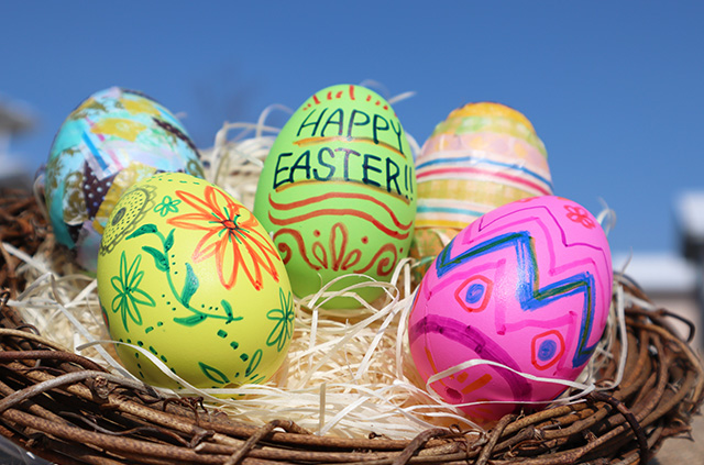 エッグクラフト