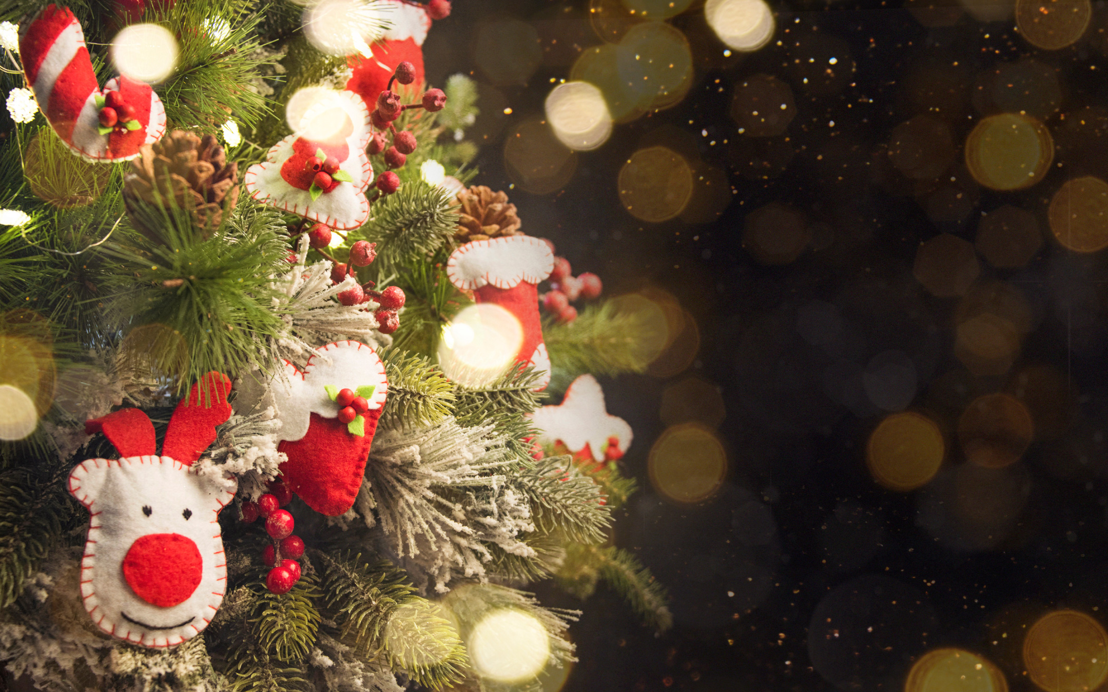 クリスマスプレゼント＆キッズフリー