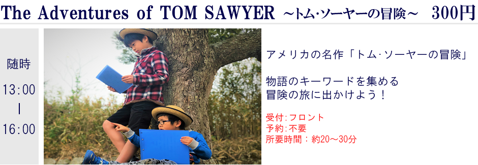 トム・ソーヤーの冒険