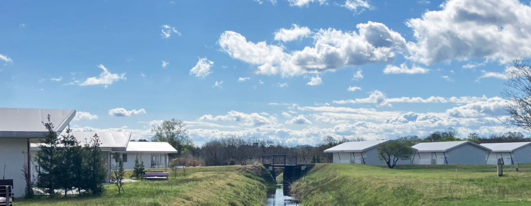 ハッピーウィークデイ