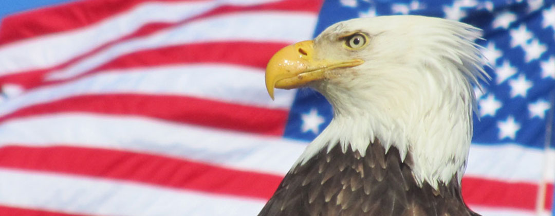 アメリカンホリデイズ