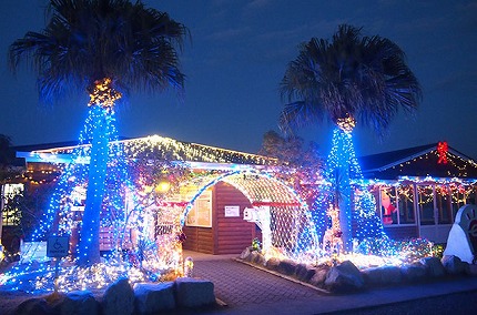 イルミネーション点灯