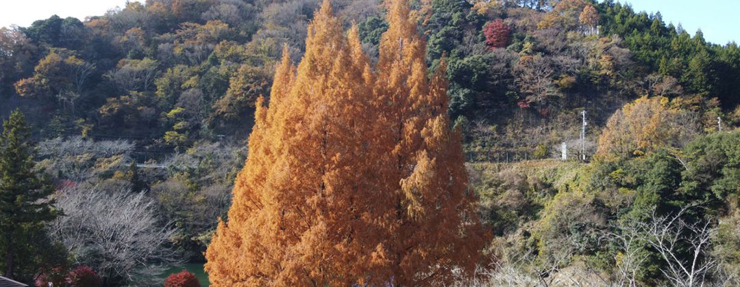 アウトドアフェスタ