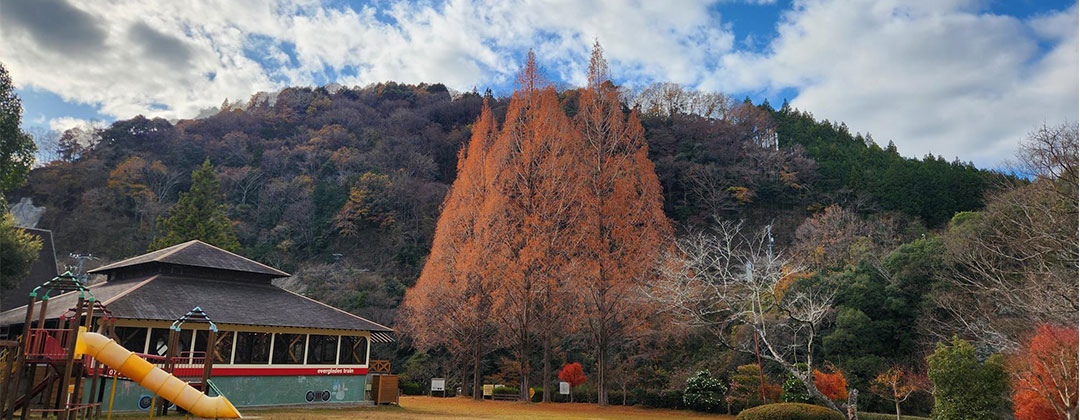 ハッピーウィークデイ