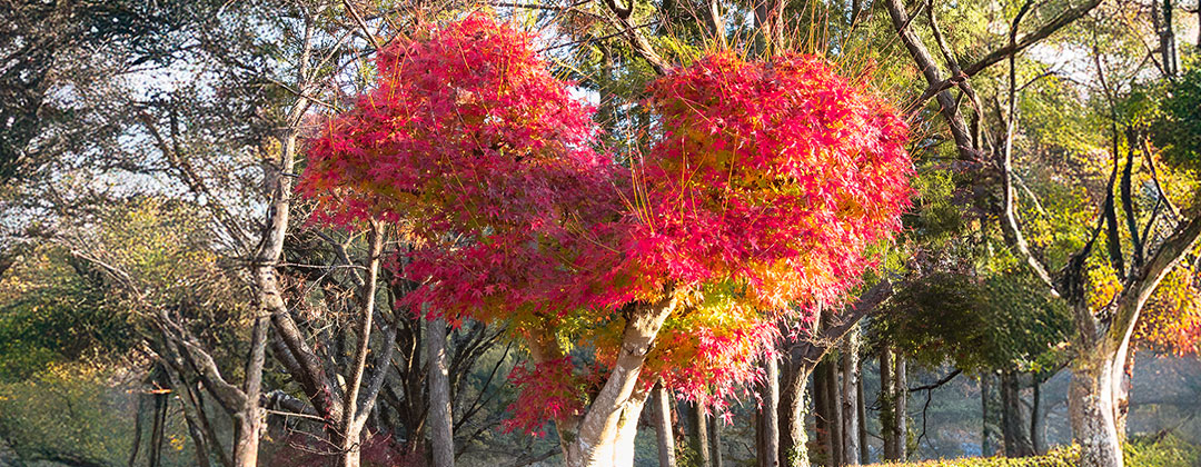 バレンタインパーティー
