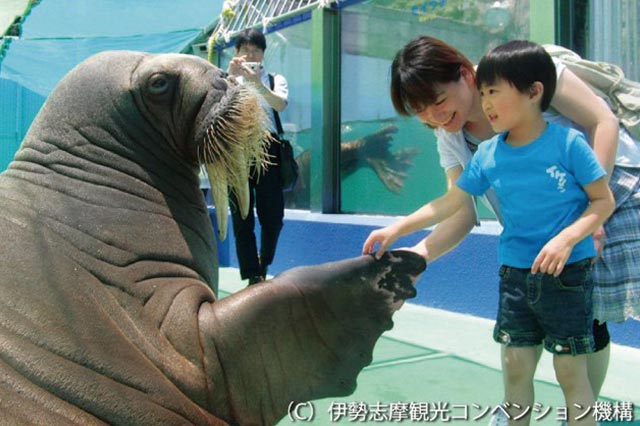 伊勢シーパラダイス