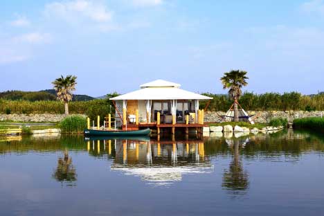 チェックアウト