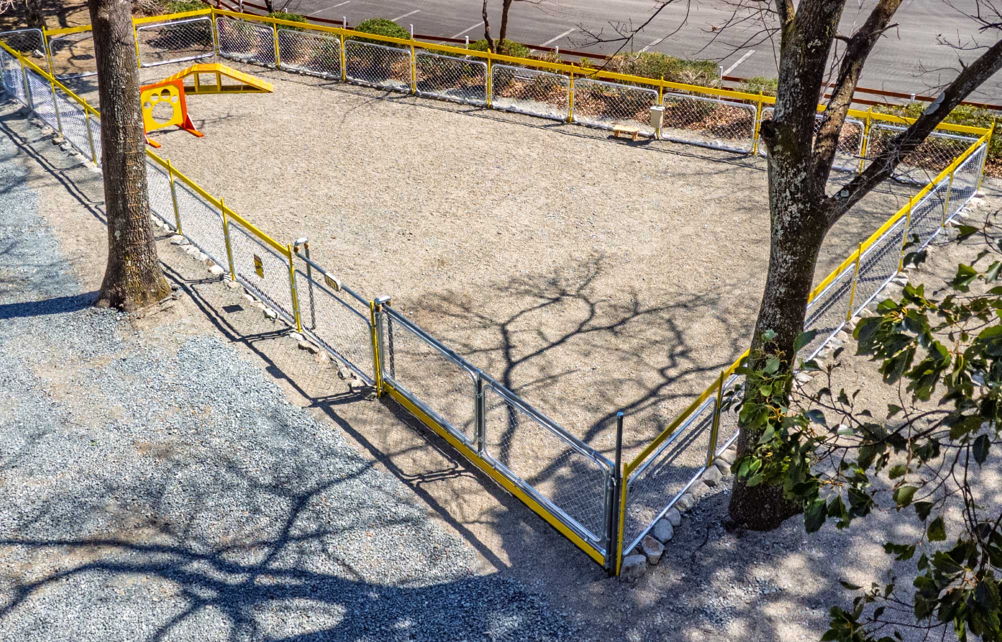 イエロードッグ