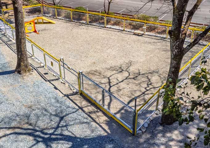 イエロードッグ