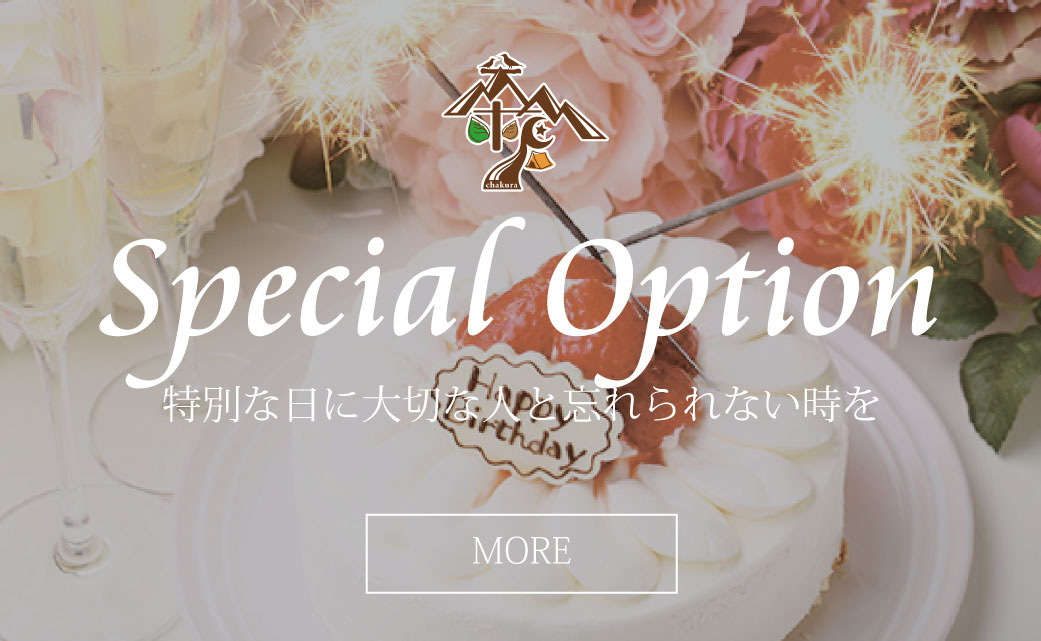 スペシャルオプション