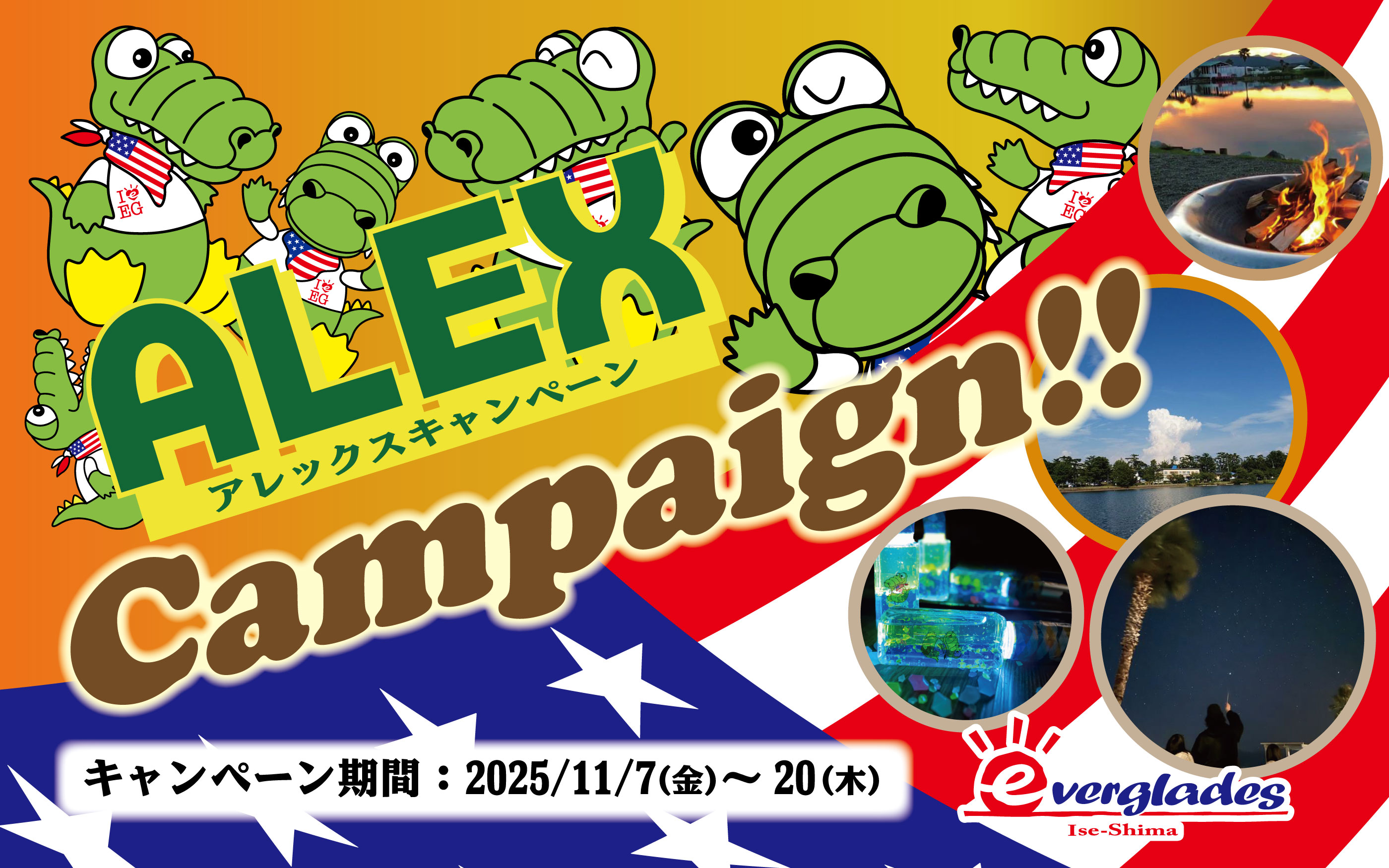 アレックスキャンペーン