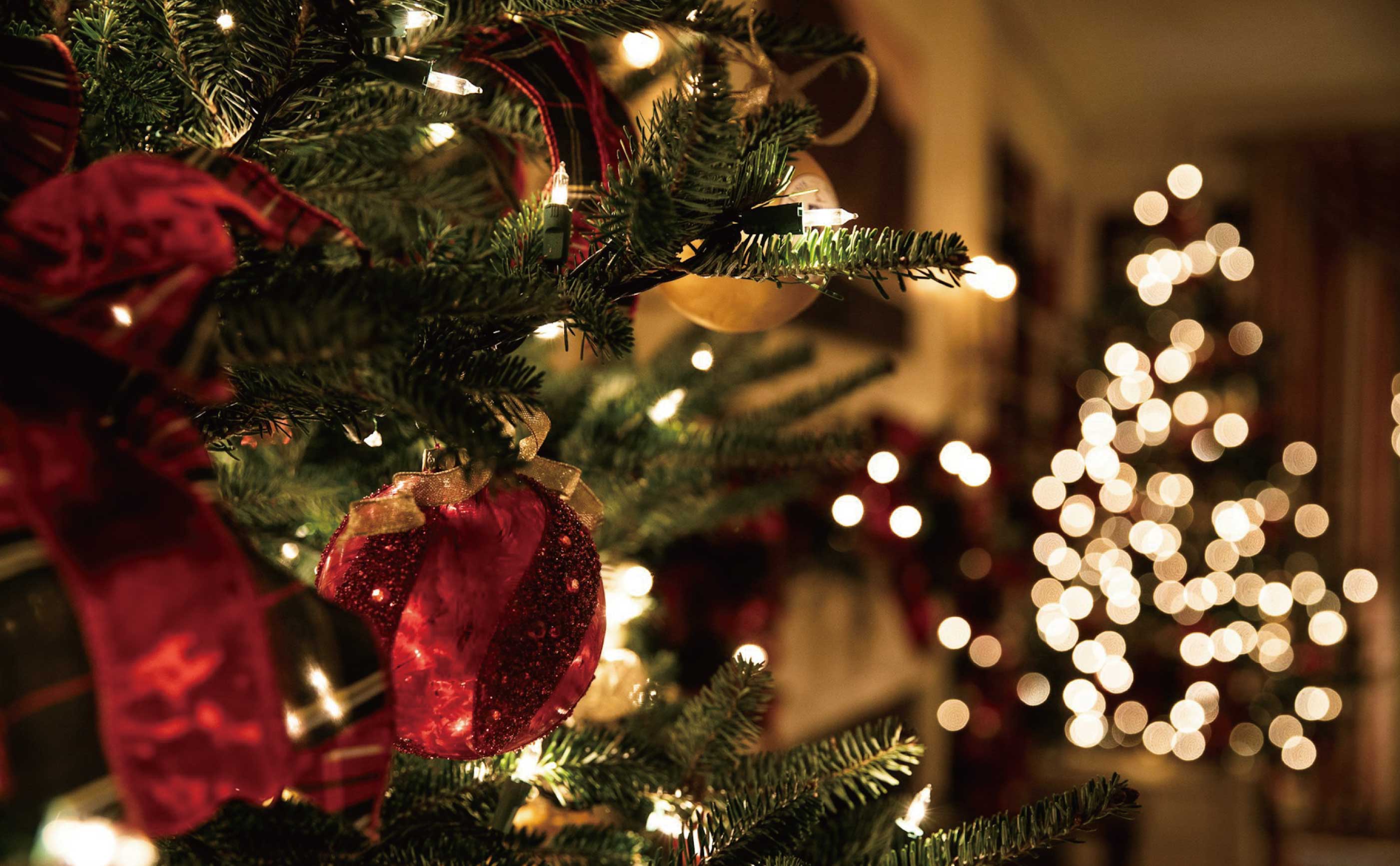 クリスマスパーティープラン