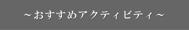 オススメアクティビティ