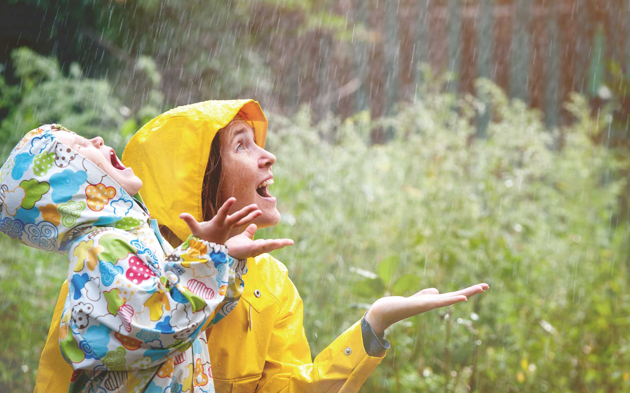 雨