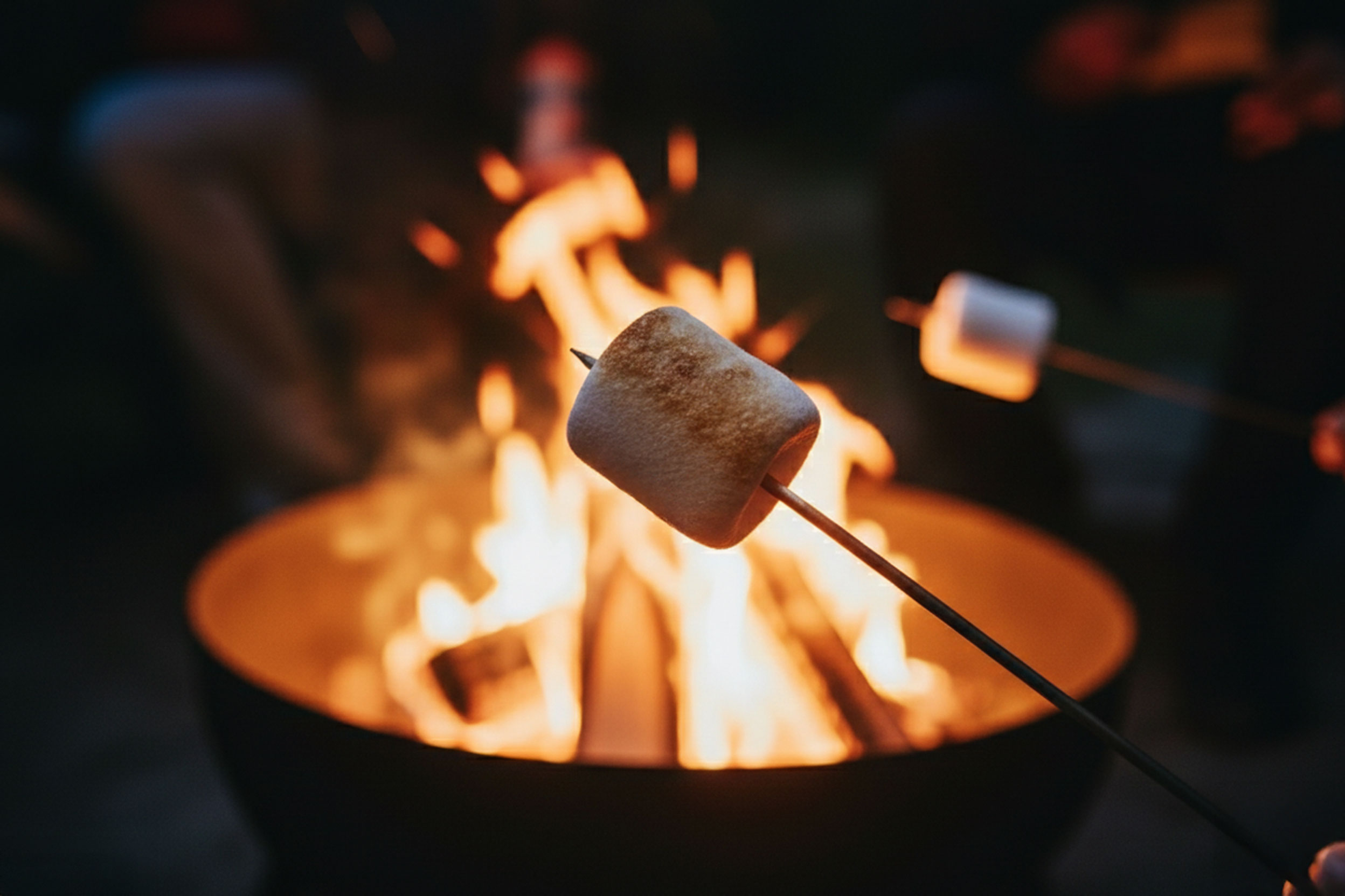 ウインターナイト